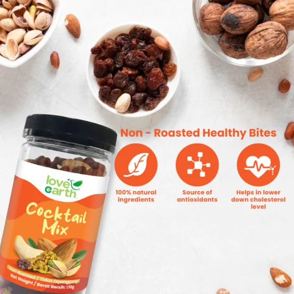 my-11134201-7rasd-m65ber5d0maw89.webp LOVE EARTH Cocktail Mixed Nuts 170g