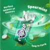 ECLIPSE Mints Spearmint 35g